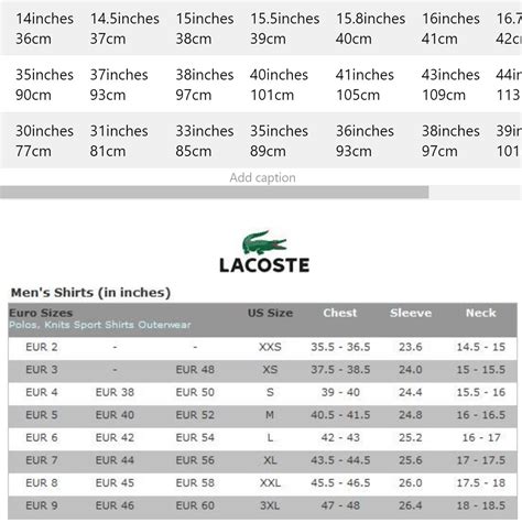 lacoste size chart for women.